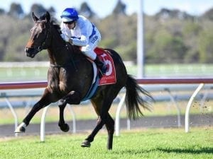 Zoustyle romps to another easy win