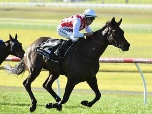 Better things to come from Sandown winner