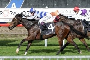 Mare ready to make step up