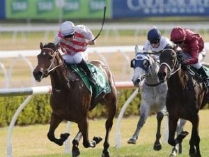 Catchy's little sister makes winning debut