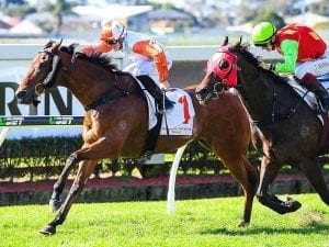 Murphy rides the Doomben feature double