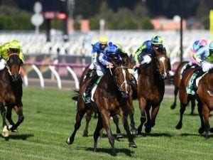 Rich Charm ruled out of Flemington return