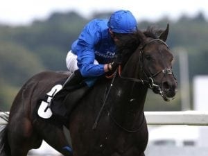 Hamada to be set for Melbourne Cup