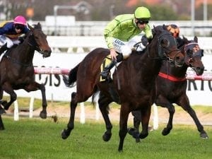 Self Sense to carry topweight in GN Hurdle
