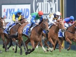 Bonneval NZ champion for a second time