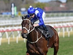 Thirteen entries for the Winx Stakes
