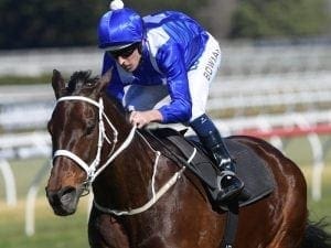 Excitement builds for Winx return Excitement builds for Winx return