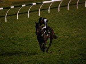 Winx as good as ever: Hugh Bowman Winx as good as ever: Hugh Bowman