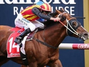 Showtime chasing G1 honours at Caulfield
