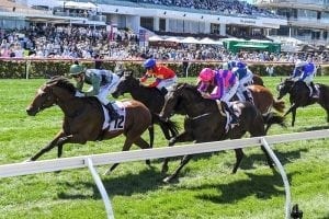 Half-brothers to run in Caulfield features