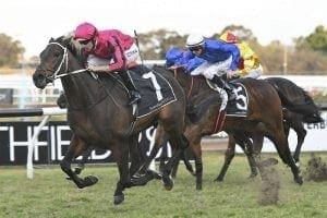 Paret Paret stamps Epsom Handicap claims