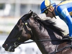 Music Magnate ready for Missile