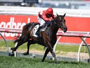 Invincible Star to have race day gallop