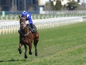 Winx has had a day out at Randwick