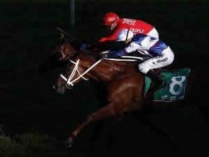 Emperor's Way ready for step up to 1800m