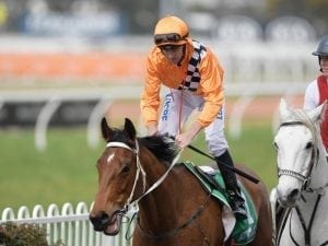 All Too Soon arrives on time at Rosehill