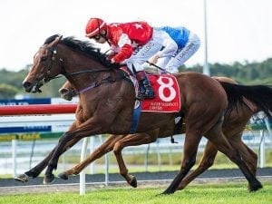 Hold The Line stays put, chases Qld riches