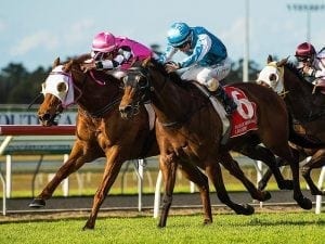 Video homework pays off in Straturbo win