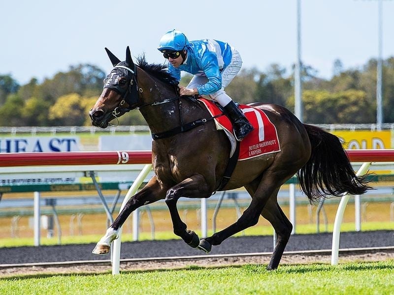 From Within wins at the Sunshine Coast.