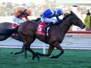 Faatinah returns with Carlyon Stakes win