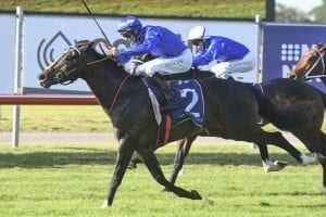 Godolphin claims Spring Stakes quinella