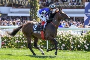 Brave Smash unlikely for Premiere Stakes