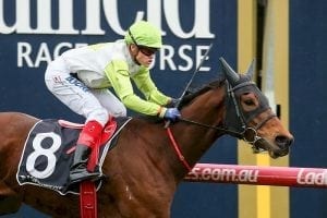 Call Me Handsome wins Heatherlie Stakes