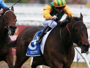 Ball Of Muscle wins first-up at Caulfield