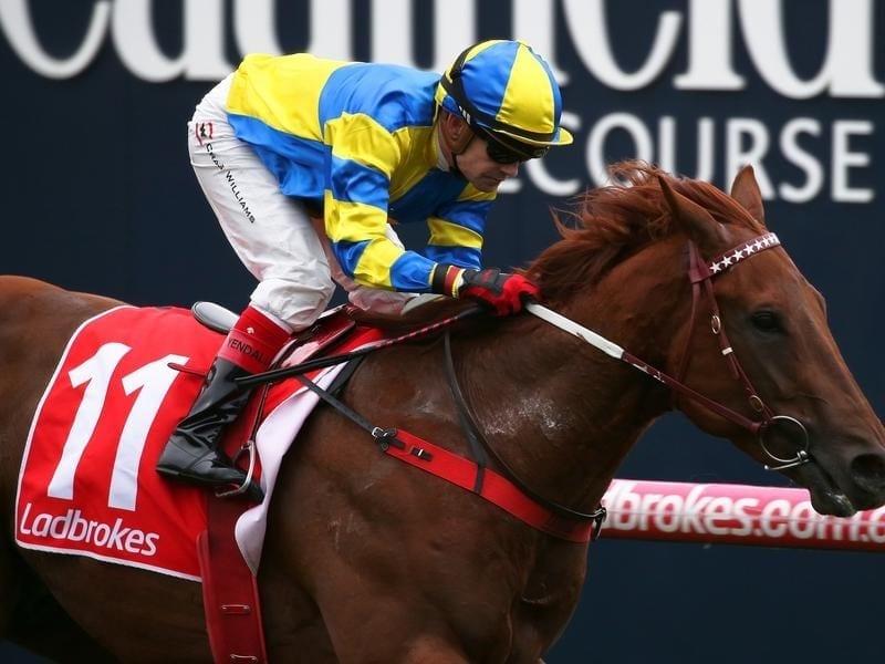 Native Soldier wins at Caulfield.