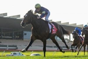 Declarationofheart to press Guineas claims