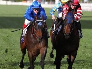 Encryption and blinkers a Flemington match