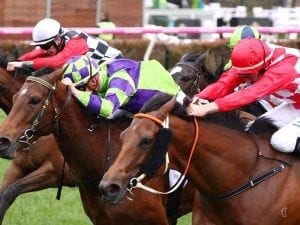 I Am A Star lands G2 Let's Elope Stakes