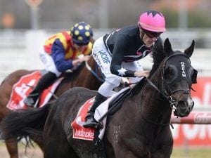 Mr Sneaky aims to go one better in G1 Hcp