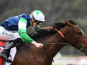 Henry Dwyer hopes filly gains Valley start