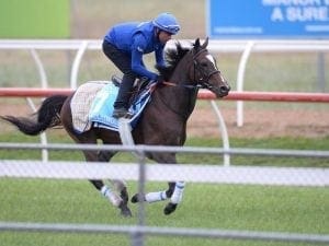 Godolphin trio settle in well at Werribee