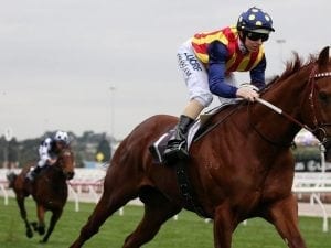 Nature Strip set for WFA McEwen Stakes