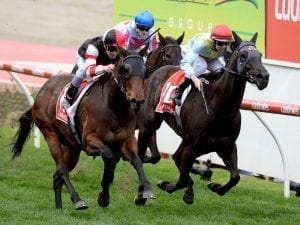 Missrock aims for fresh win in Moir Stakes