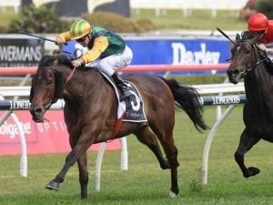 Ball Of Muscle out for Moir Stakes upset
