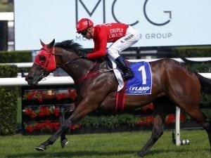 Everest lead up for Redzel in the Premiere