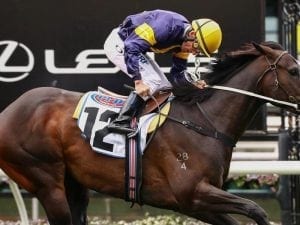 Grunt early favourite for Underwood Stakes