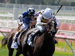 Night's Watch recovers from lameness issue
