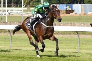 Hiflyer primed for Group 1 mile