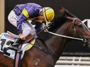 Grunt wins the Group 1 Makybe Diva Stakes