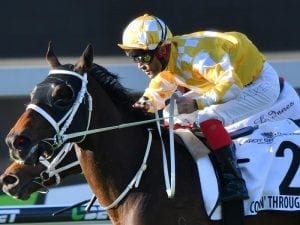 Waller with chance at two-state G1 double