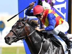 Pierata out to get campaign back on track