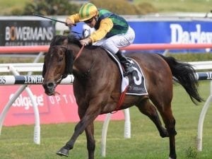 Ball muscles his way to Group 2 Shorts win