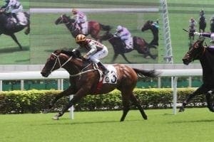 Romantic Touch Romantic Touch leads a Sha Tin treble for a new alliance