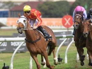 Miss Admiration switch pays off in Sydney