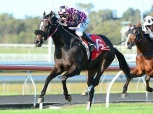 Maturity a key factor for Heathcote stayer