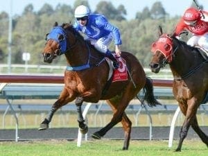 Murphy to ring the Bel at Sunshine Coast